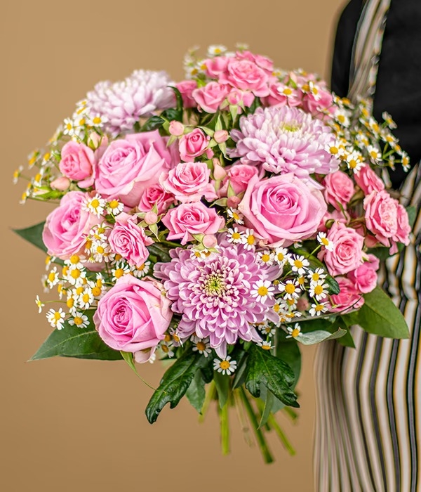 Elegant Blush