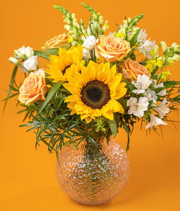 Sunflower Fields