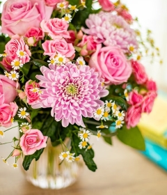 Elegant Blush
