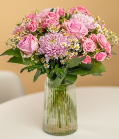Elegant Blush